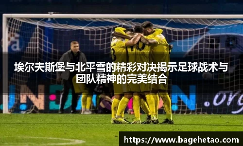 球王会体育app入口